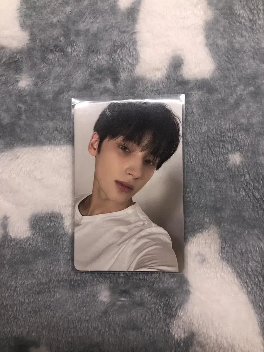 GBGBHooning Photo Card