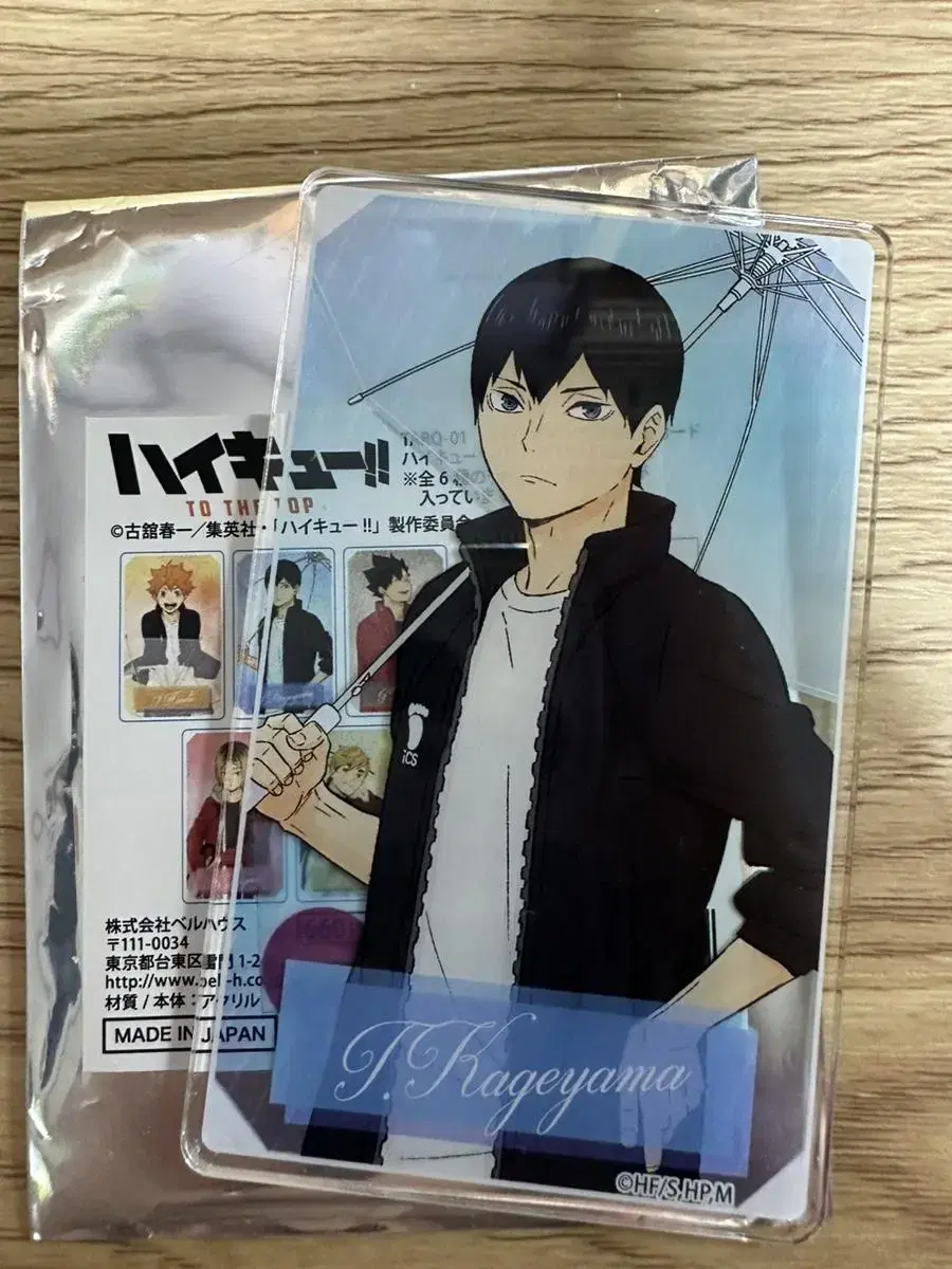 Kageyama Umbrella Acrylic