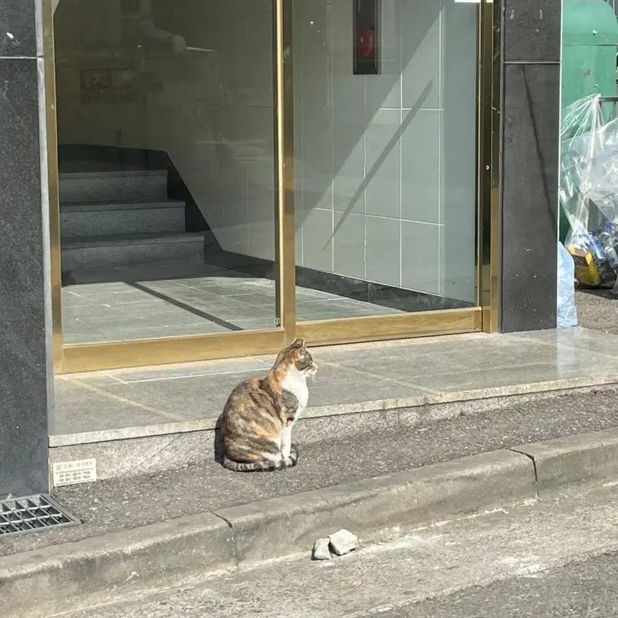 에어팟싸게 파실분