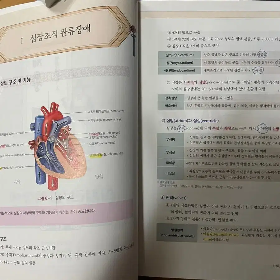 필통 간호학 핵심요약집