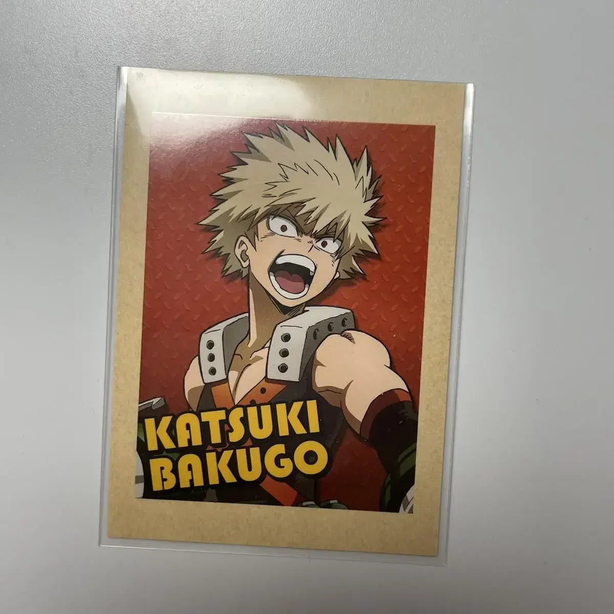 Hiroaka Bakugo Memories Pasha