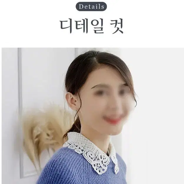 [1+1] 페이크카라 블라우스 넥케이프 여성 레이어드 레이스카라