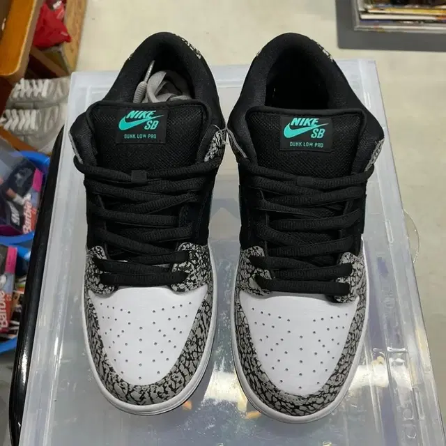 nike sb dunk low pro clear jade 덩크 로우