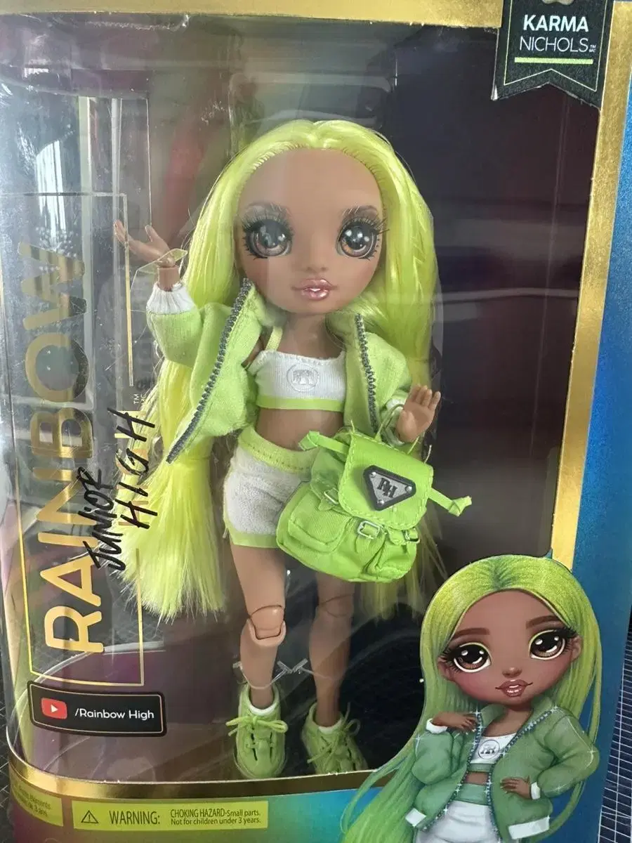 Rainbow High Doll (Box)