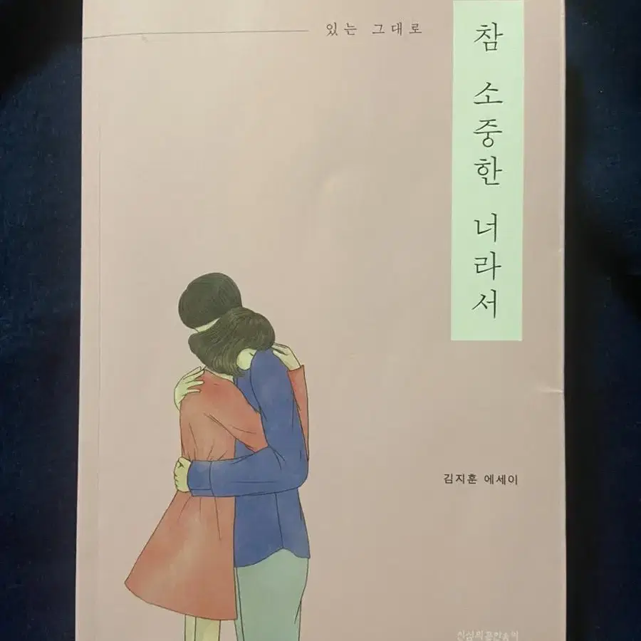 에세이, 소설 책