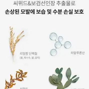 새제품 커리쉴 극손상 샴푸 500g