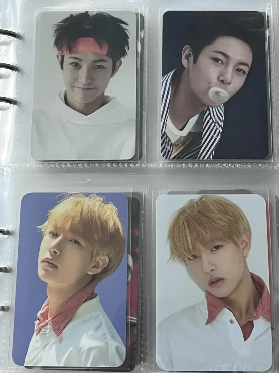 nct dream 6th anniversarymd tin casephotocard renjun bulk wts