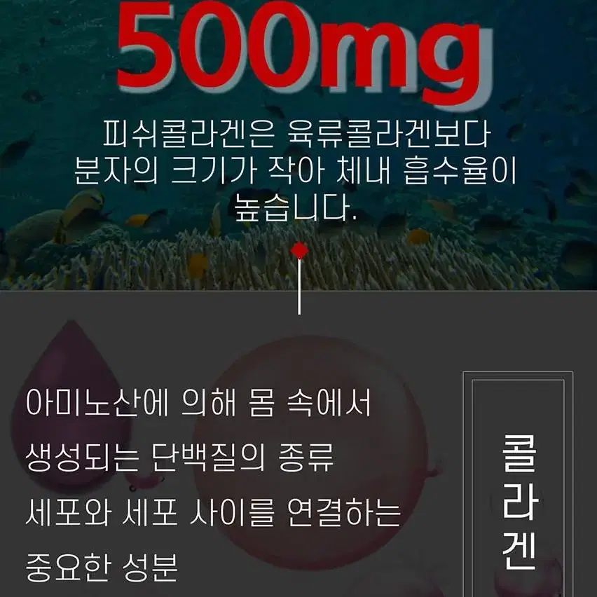 무료배송 갱년기 콜라겐 농렵 나만을 위한 석류콜라겐젤리스틱 30포 선물백