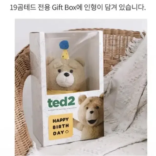 급처)ted2 인형