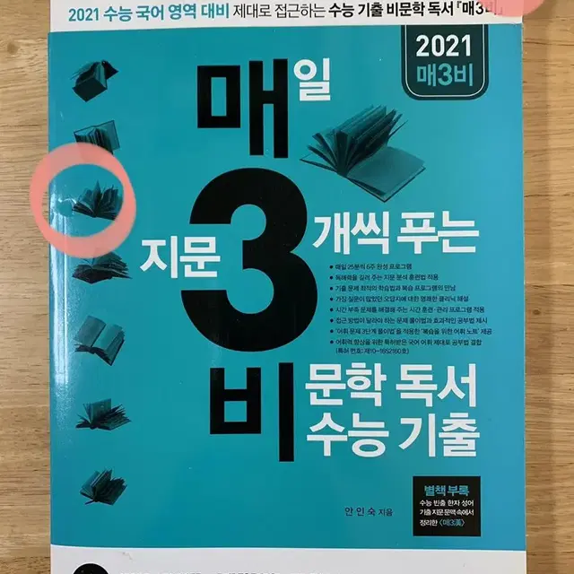 2021 매3비