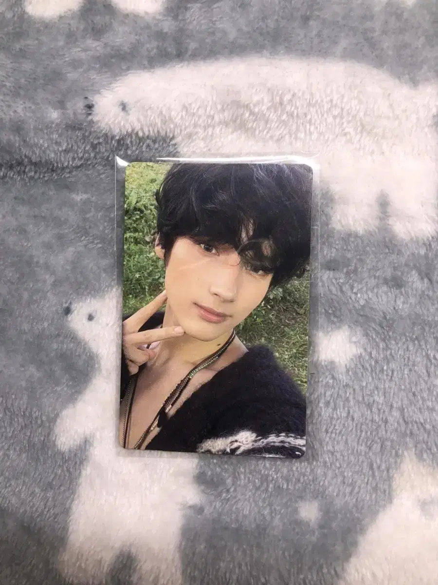 Dey Dreamhunter Photo Card