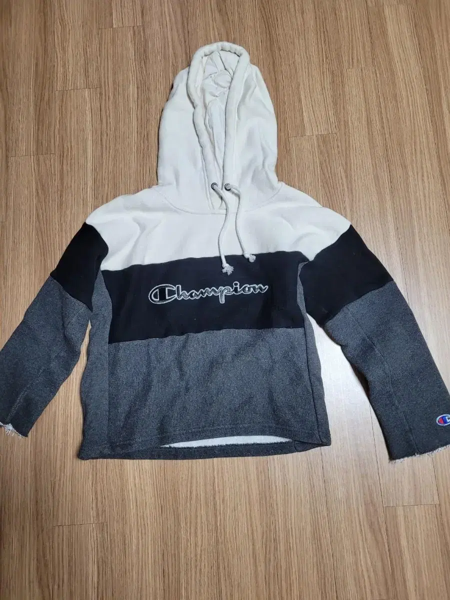 champion hoodie hoodie size xs