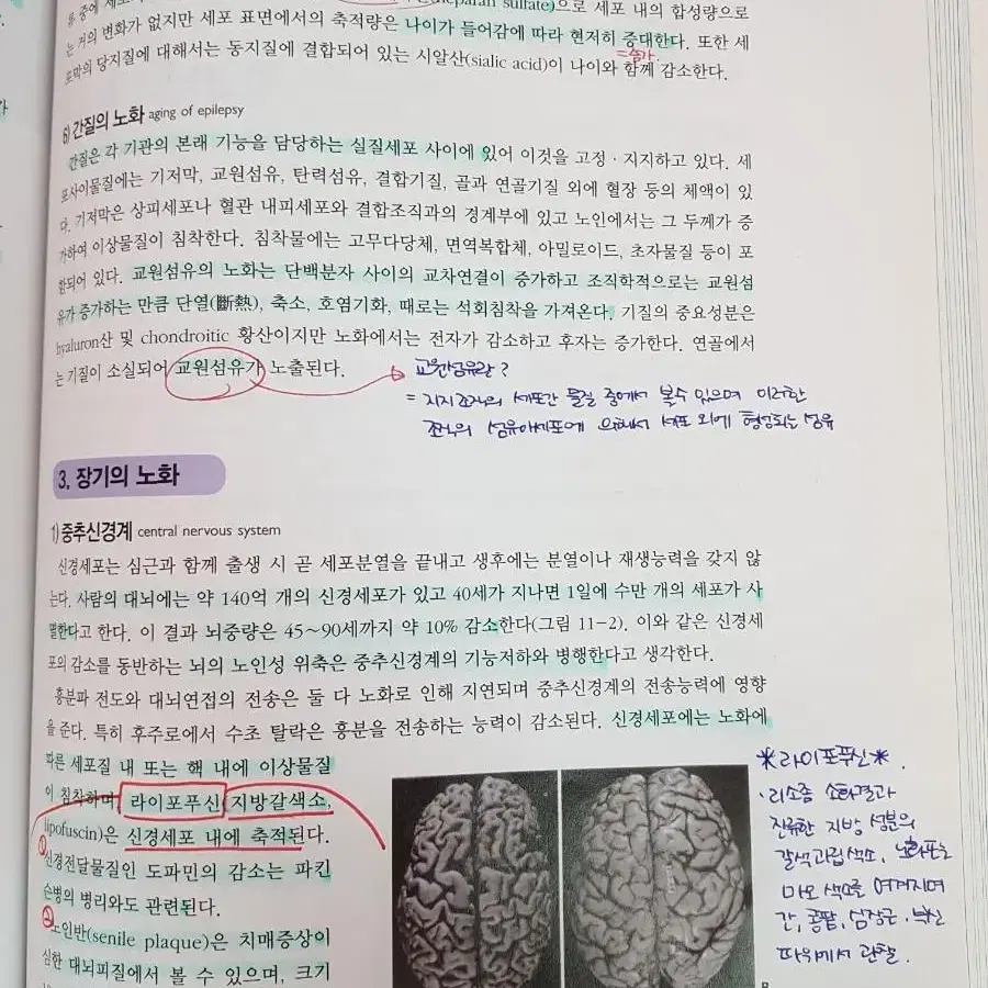 최신 알기쉬운 병리학 2판 수정판 현문사