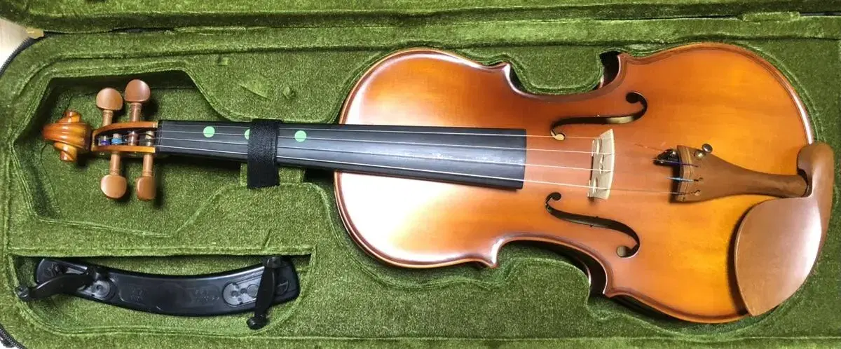 Zefirotoca violin