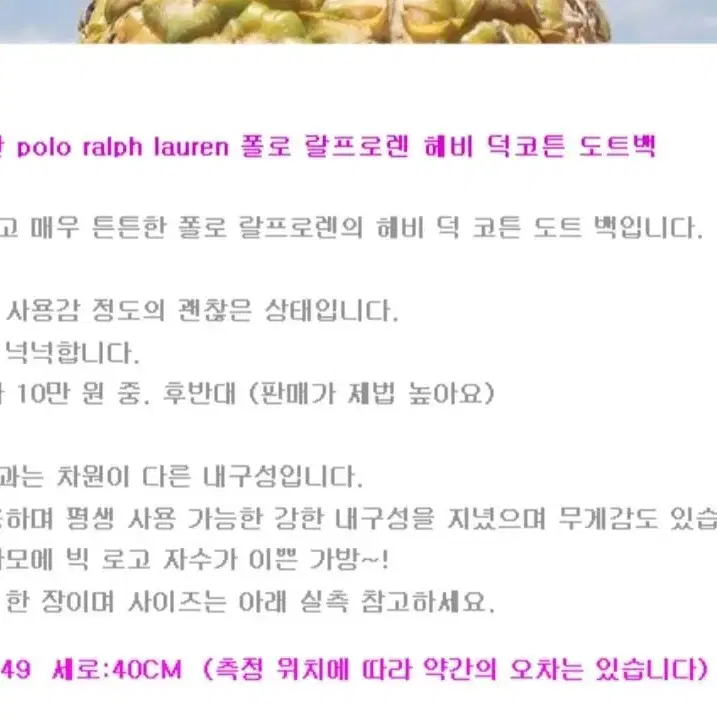 polo Ralph Lauren 폴로 랄프로렌 덕 코튼 카모 도트백