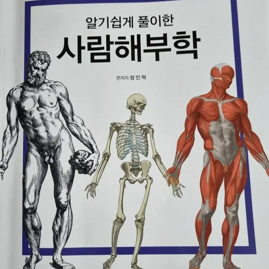 알기쉽게 풀이한 사람해부학 아카데미아