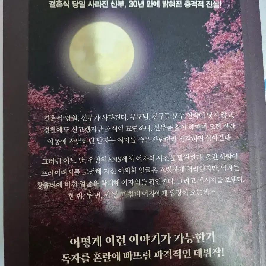 기묘한 러브레터