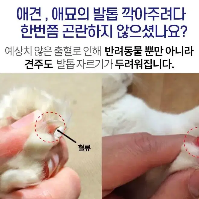 강아지 고양이 반려동물 LED 혈류 발톱자르기 컷팅 깍이