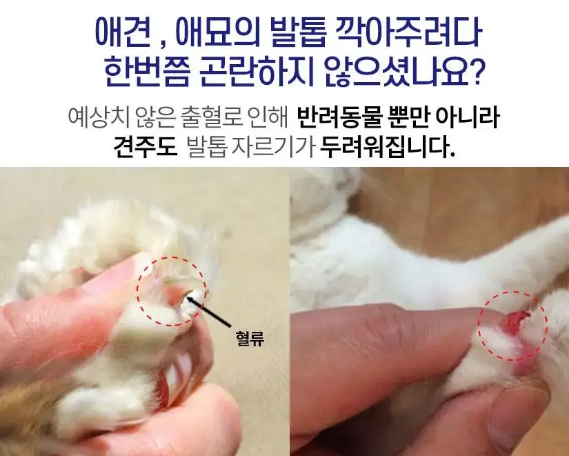 강아지 고양이 반려동물 LED 혈류 발톱자르기 컷팅 깍이