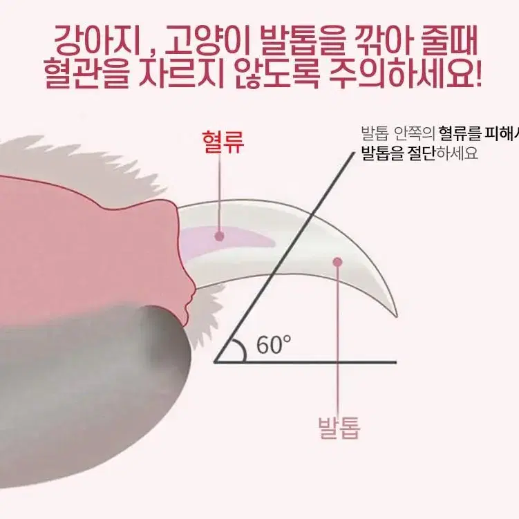 강아지 고양이 반려동물 LED 혈류 발톱자르기 컷팅 깍이