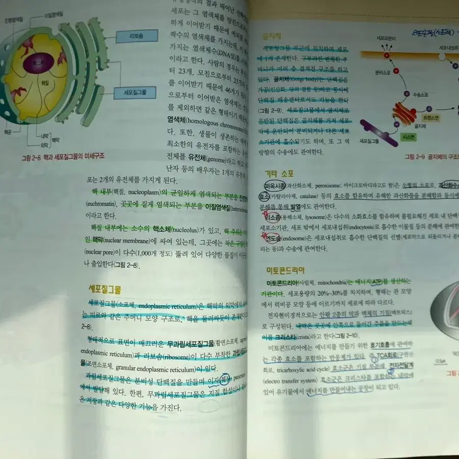 보건의료인을 위한 생물학 의학교육