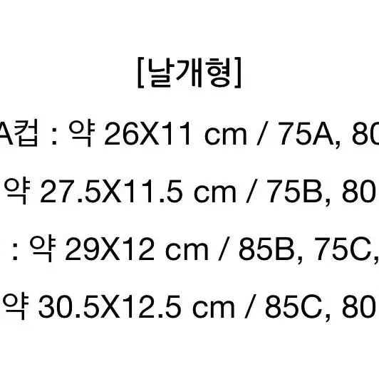 붙이는 날개형 누드브라