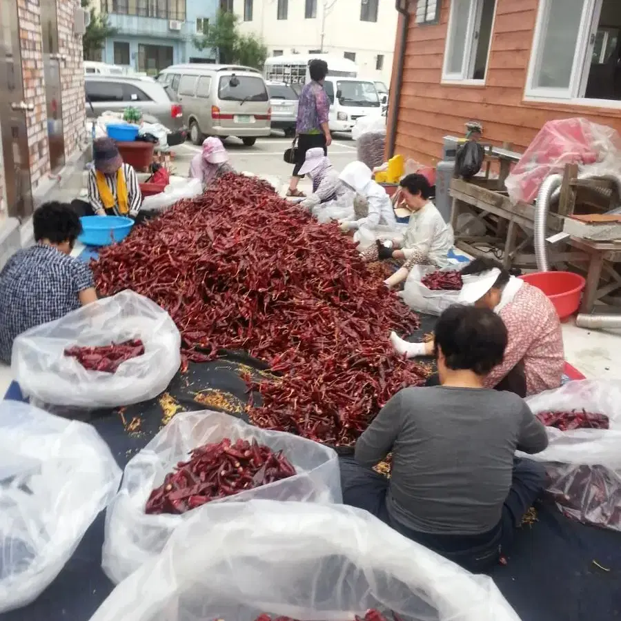 딸부자네] 숙성 알타리무 (총각) 김치 1kg