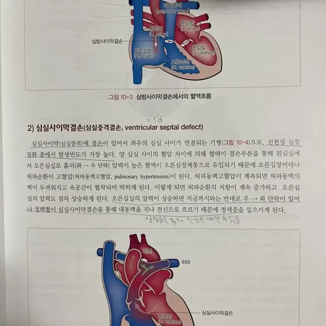 병리학 책