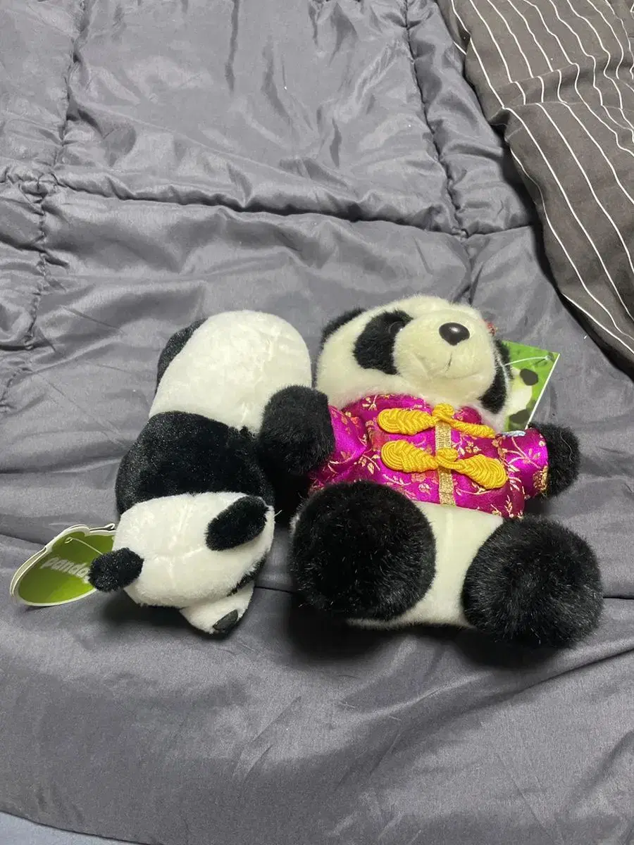 Chinese panda dolls