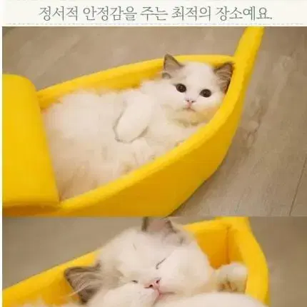 고양이바나나숨숨집(새상품)