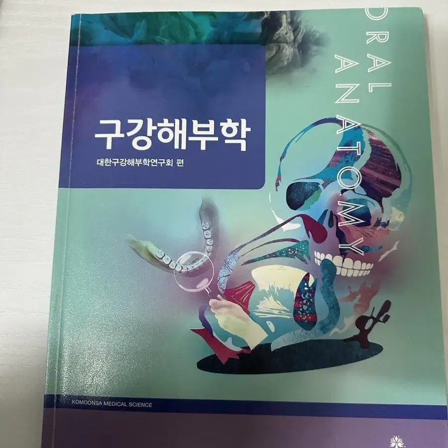 구강해부학