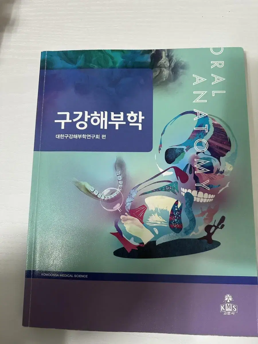 구강해부학