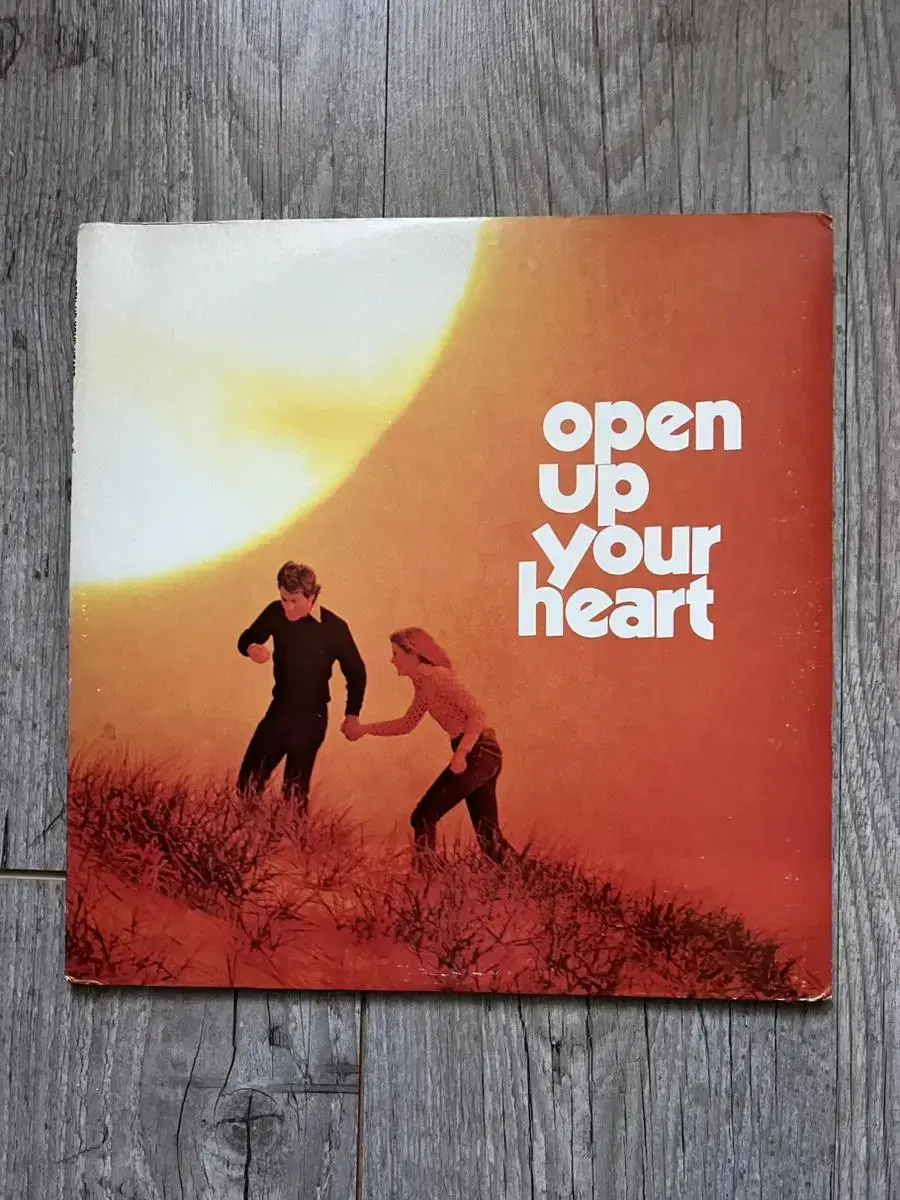 Open up your heart LP 미국반