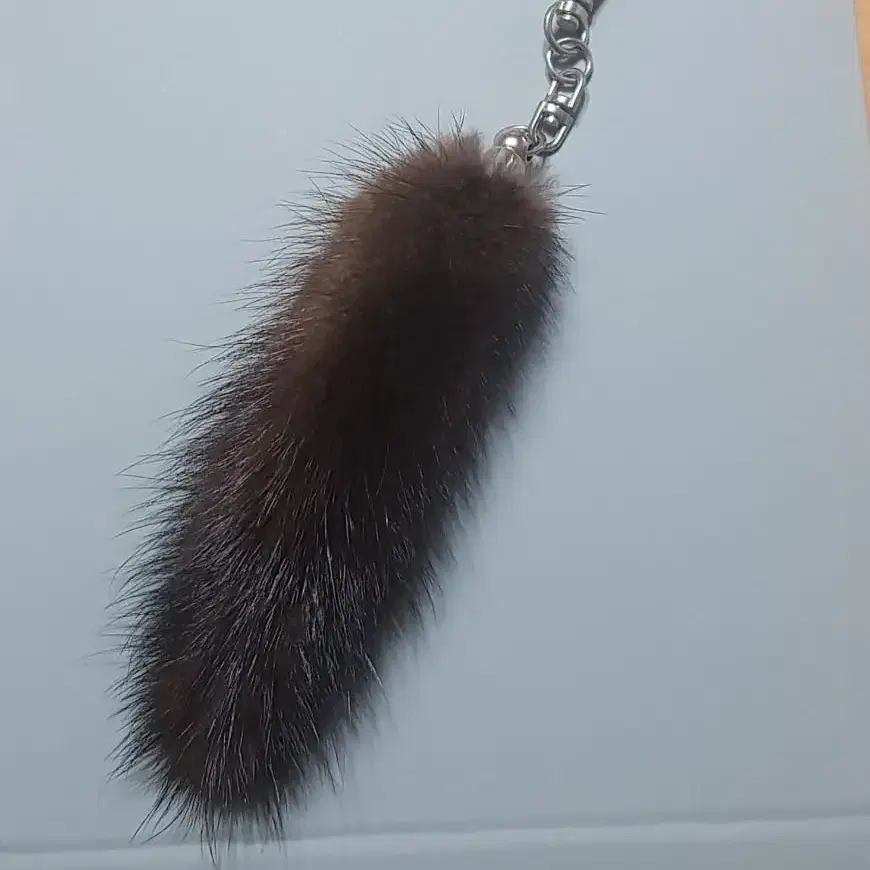 fox key ring