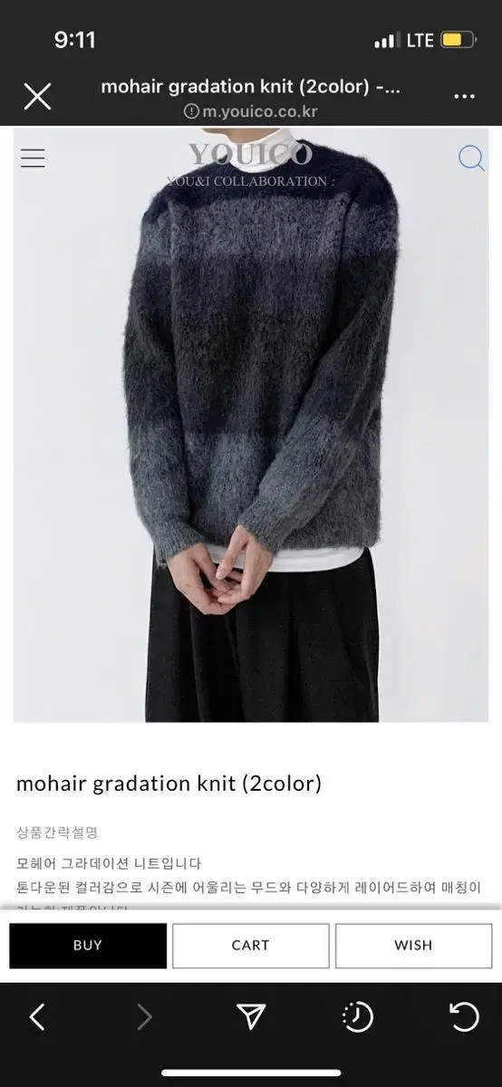 YooAiko Mohair Gradient Knit