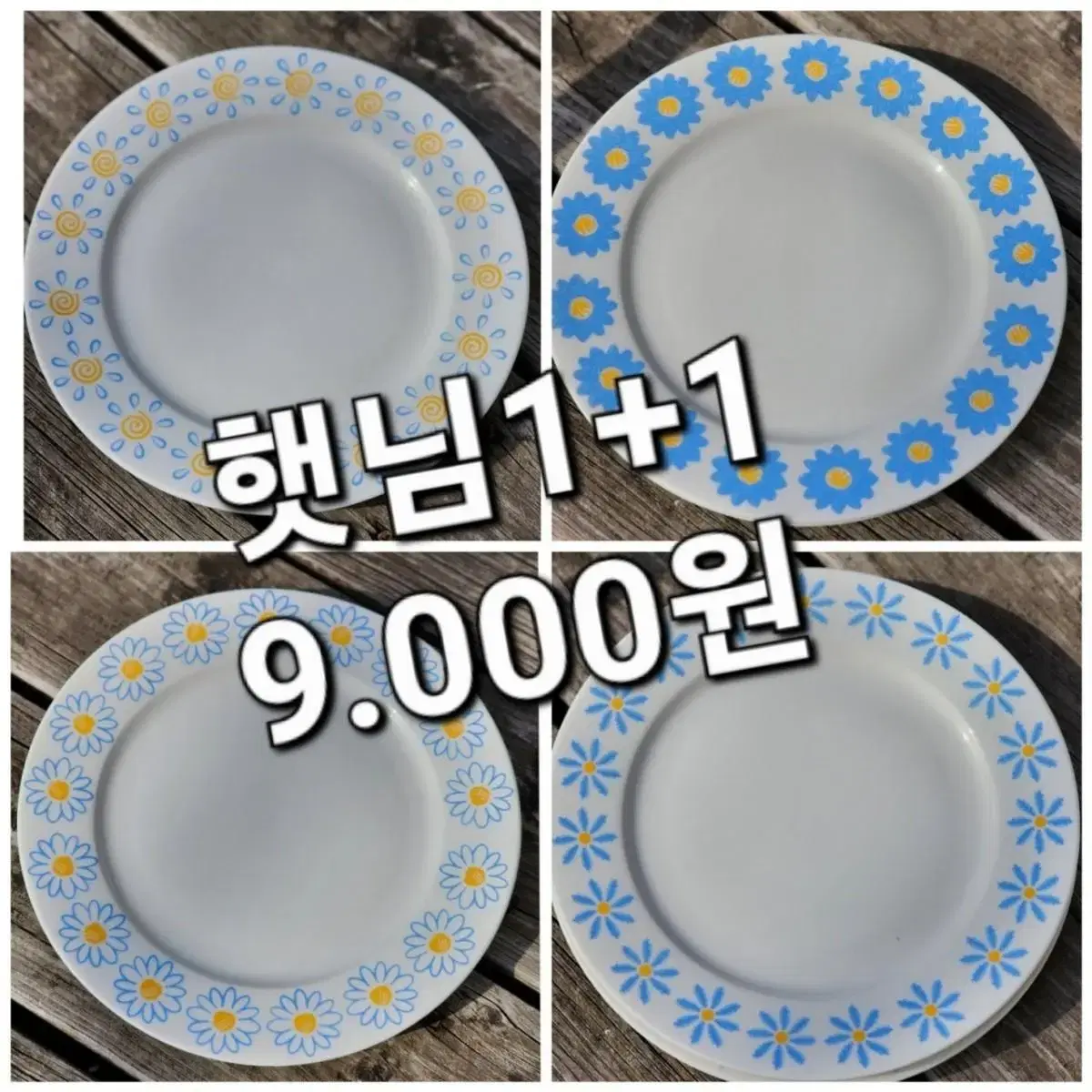 벼룩1+1 햇님 2개