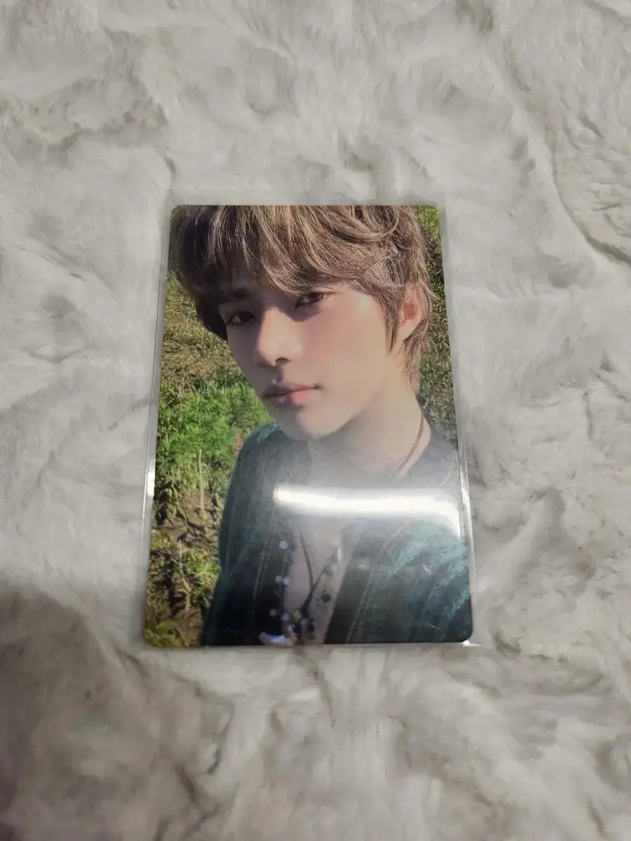 Daydream beomgyu WTS