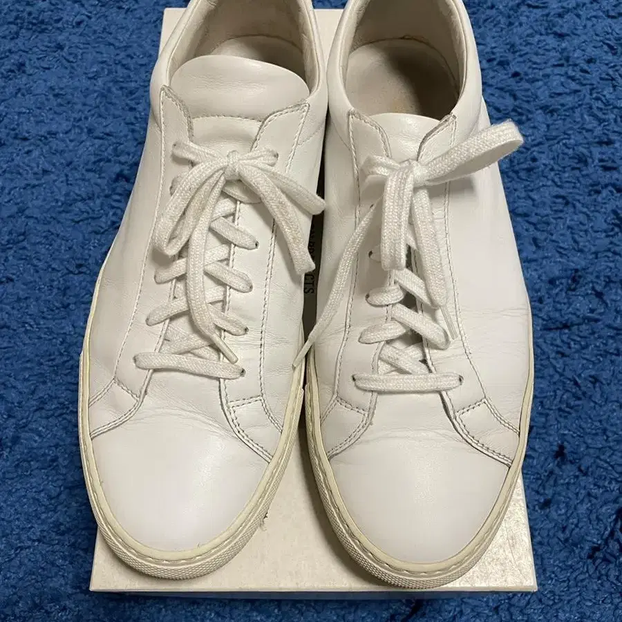 COMMON PROJECTS Achilles Low White