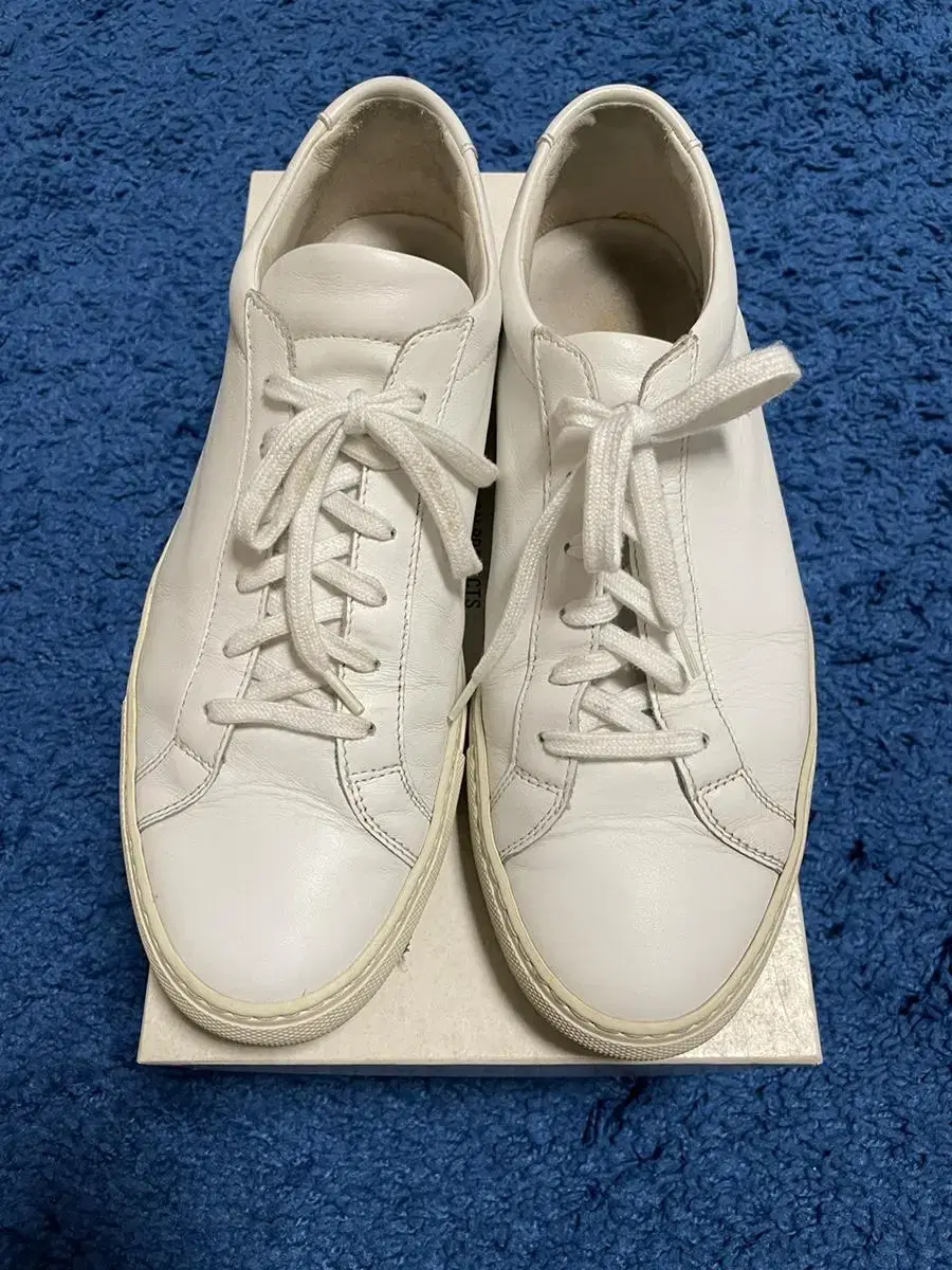 COMMON PROJECTS Achilles Low White