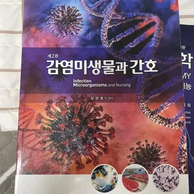 간호 1,2학년 전공책 팝니다!!