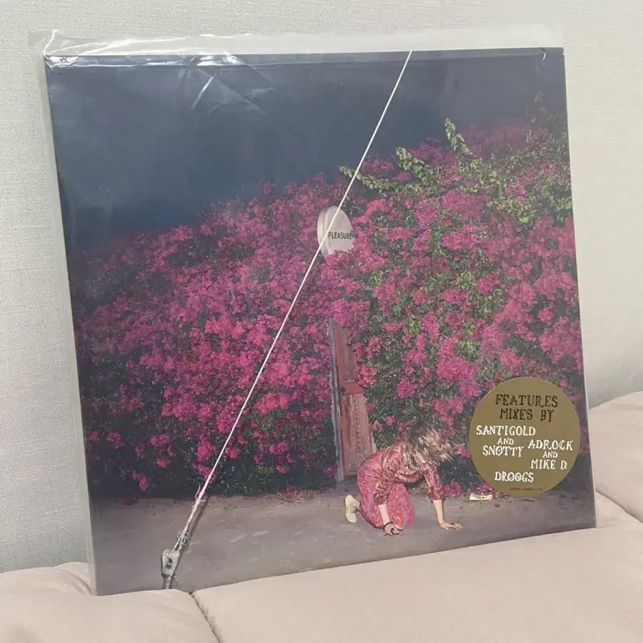 파이스트 Feist LP pleasure