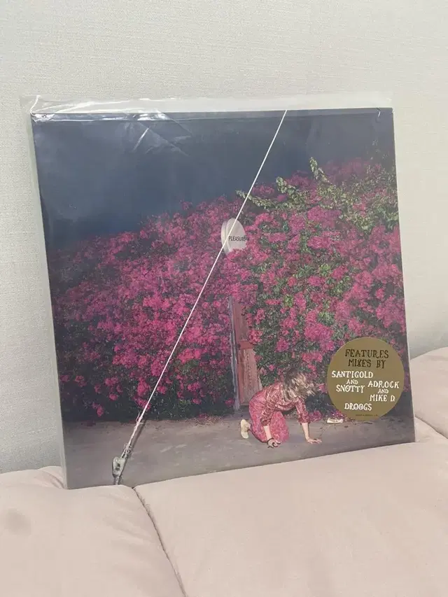 파이스트 Feist LP pleasure