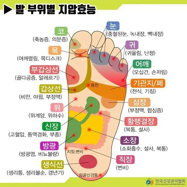 천연 자갈 지압 슬리퍼 (+손잡이케이스)