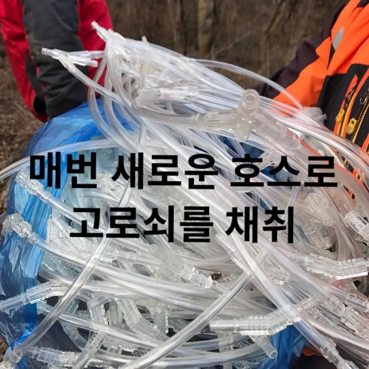 농림축산식품부 장관 대상자의 고로쇠 2월 까지 판매 합니다