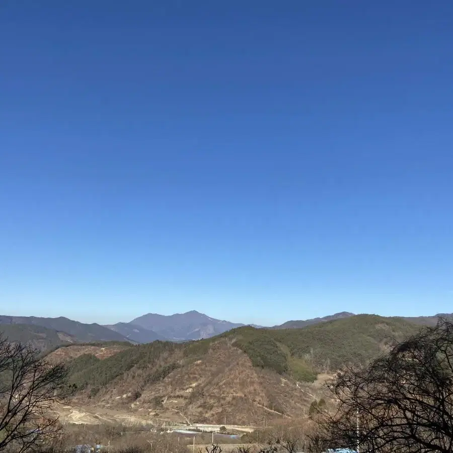 농림축산식품부 장관 대상자의 고로쇠 2월 까지 판매 합니다