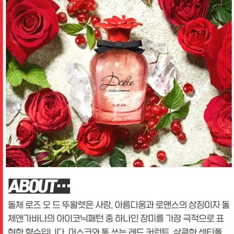 돌체앤가바나 돌체 로즈 오드뚜왈렛 75ml