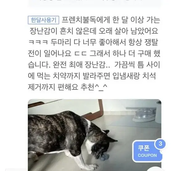 래핑찰리 야미덴탈토이 그레이