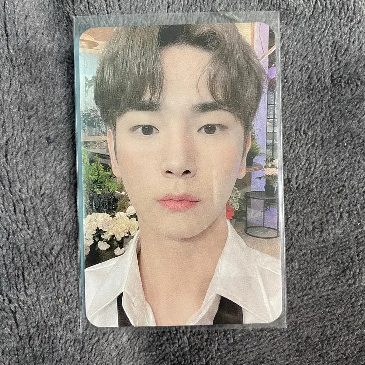 Kulgusi Junpo) Shinee key Donkolmi owhat Youngtong photocard wts Sell