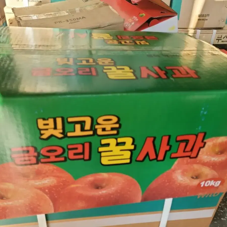 청송 꿀사과