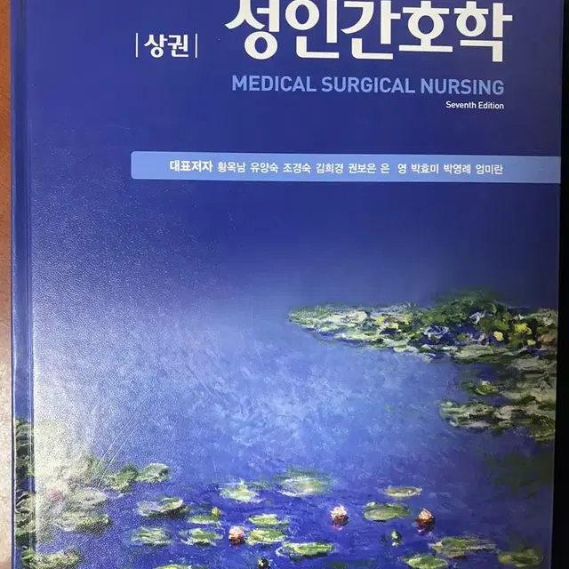 성인간호학 현문사 상권